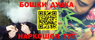 шишки Кингисепп