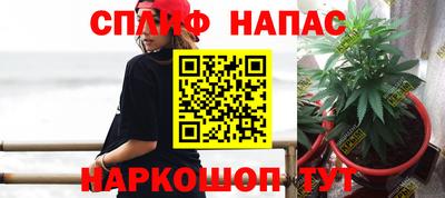 шишки Кингисепп