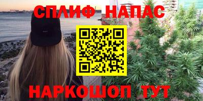шишки Кингисепп