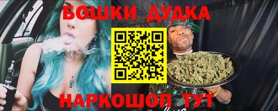 шишки Кингисепп